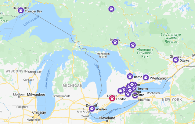 Screen Shot 2020-07-09 at 5.37.40 PM